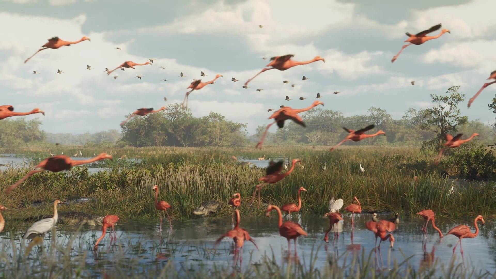 A huge flock of flamingos taking off over the Leonida wetlands